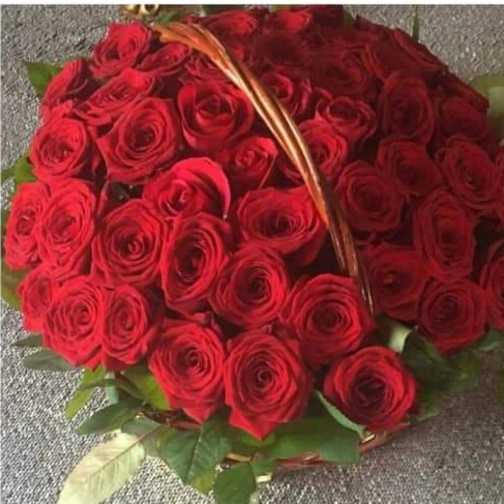 Красные розы