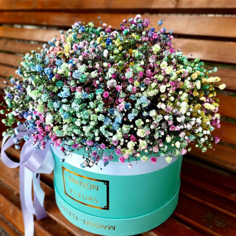 Рудужная гипсофила в коробке