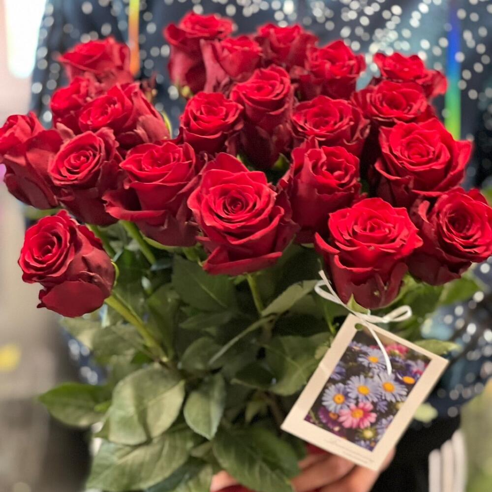 25 красных роз кения  50 см