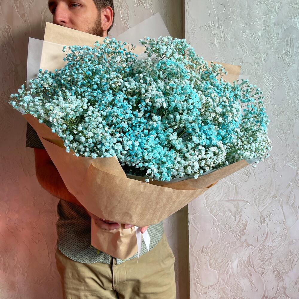 Облако голубой гипсофилы L