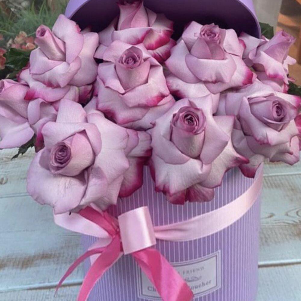 Коробка viver 6