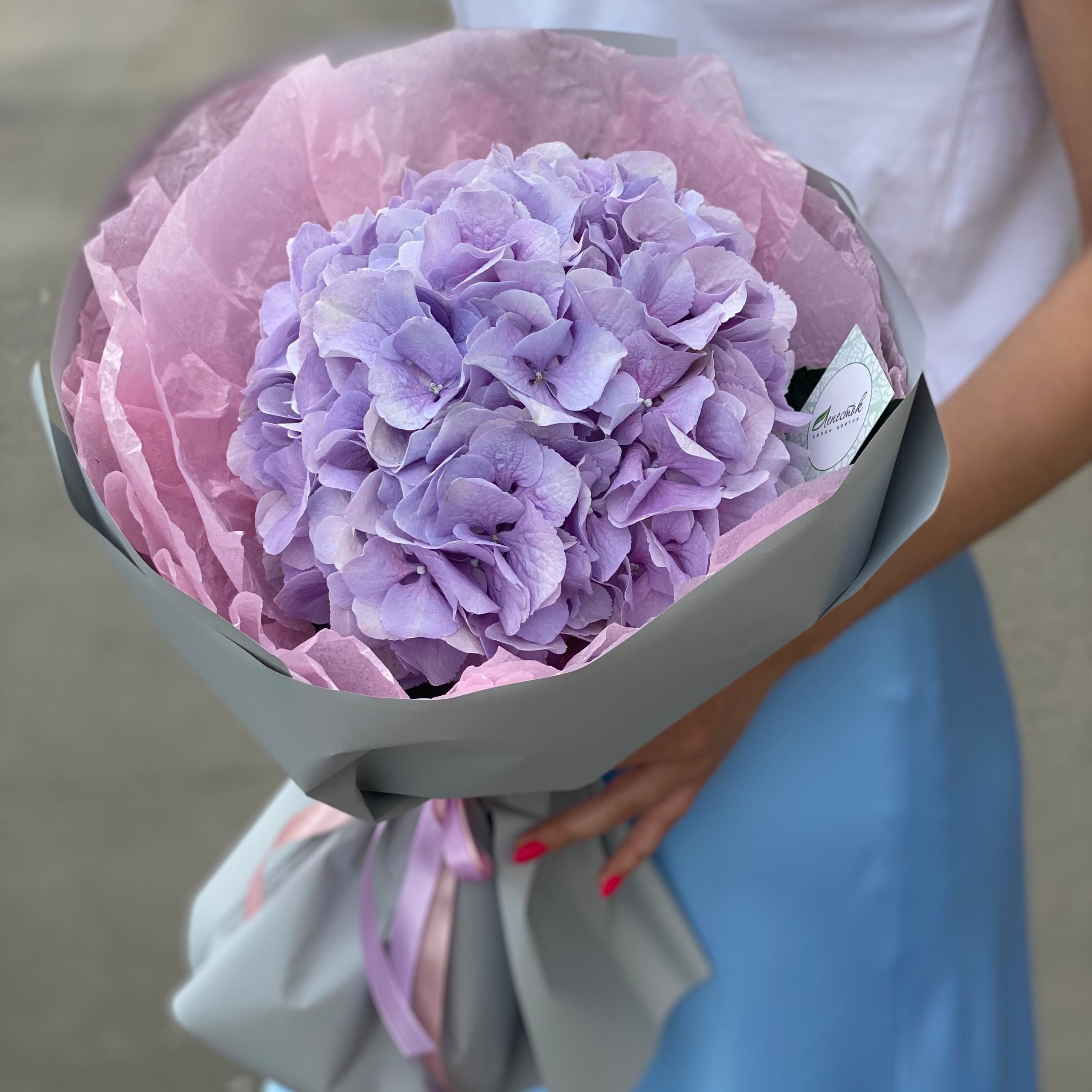 c34e781d-e867-4c24-9d09-b980fc080017